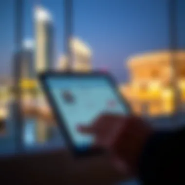 A digital device accessing UAE visa validation tools