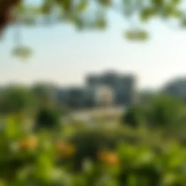 Tranquil view of a Dubai neighborhood with greenery