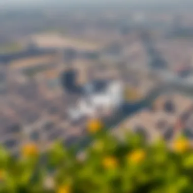 Aerial view of ند الشبا showcasing its urban layout and greenery