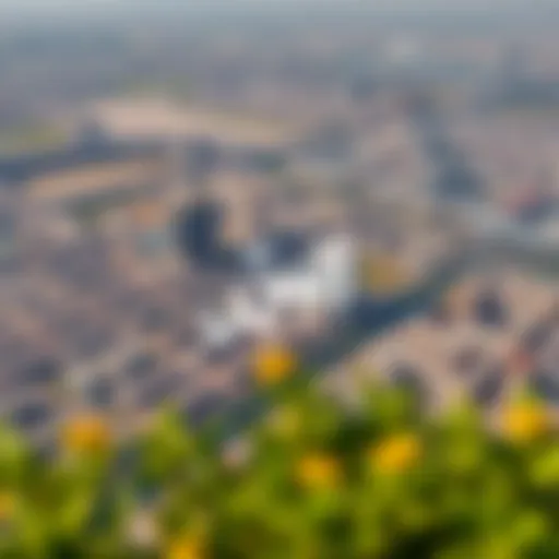 Aerial view of ند الشبا showcasing its urban layout and greenery
