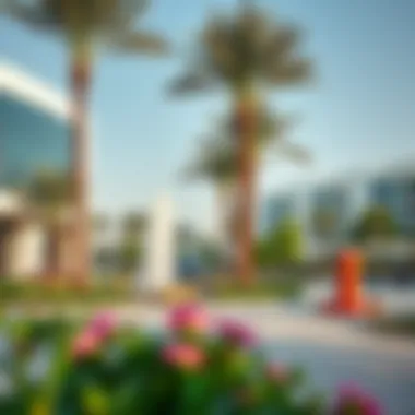 Vibrant community spaces in Al Thanyah Third, featuring parks and recreational areas