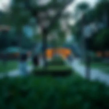 Visitors enjoying the various amenities available in Central Park, including recreational areas and walking paths.