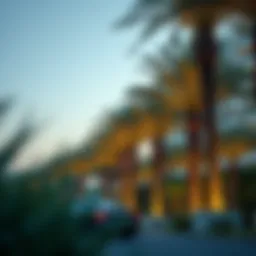 Crescent palm trees lining a luxury development