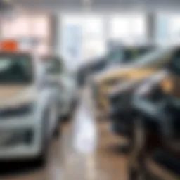 Diverse range of electric cars showcased in a modern dealership