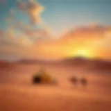 Experience the Majestic Desert in the UAE Stunning desert landscape with traditional Bedouin camp