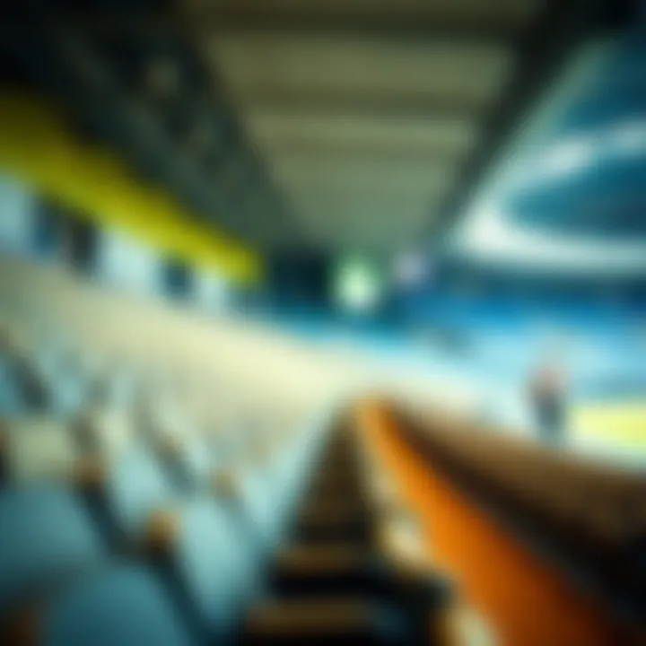 Accessibility features in Etihad Arena