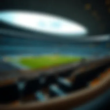 Optimal viewing positions in Etihad Arena