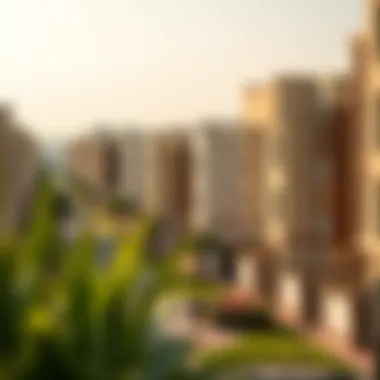 A scenic view of an affordable neighborhood in Dubai