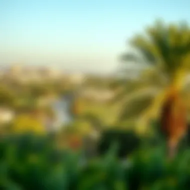 A panoramic view of Al Ain Oasis showcasing lush greenery and palm trees