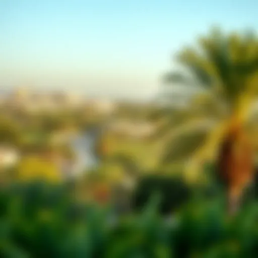 Panoramic View of Al Ain Oasis A panoramic view of Al Ain Oasis showcasing lush greenery and palm trees
