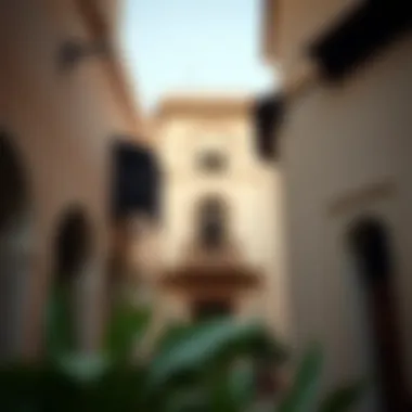 Architectural Details of Traditional Buildings in منطقة السيف Architectural details of traditional buildings in منطقة السيف