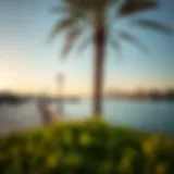 A view of the stunning waterfront promenade in منطقة السيف