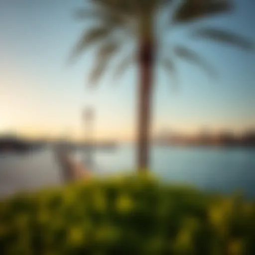 A view of the stunning waterfront promenade in منطقة السيف