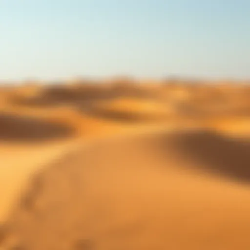 Serene desert landscape at Al Aweer
