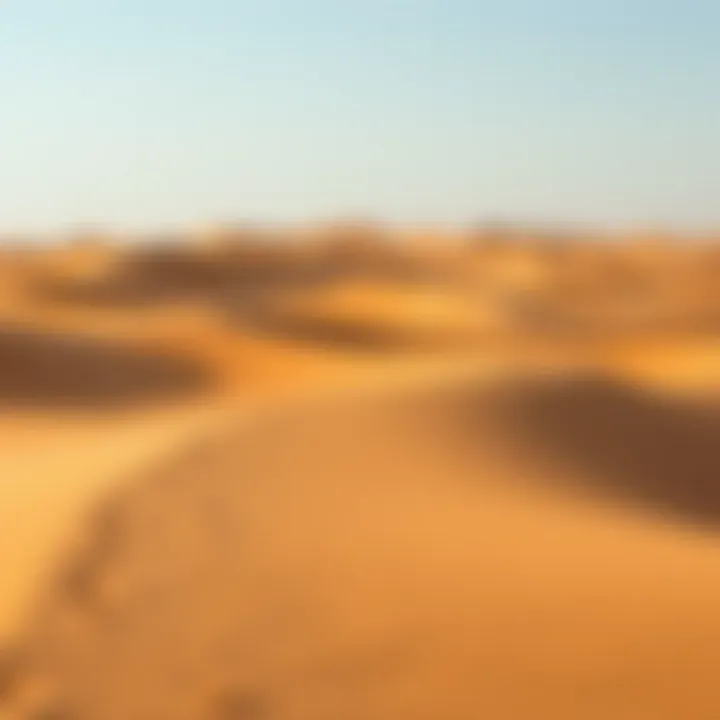 Serene Desert Landscape Serene desert landscape at Al Aweer