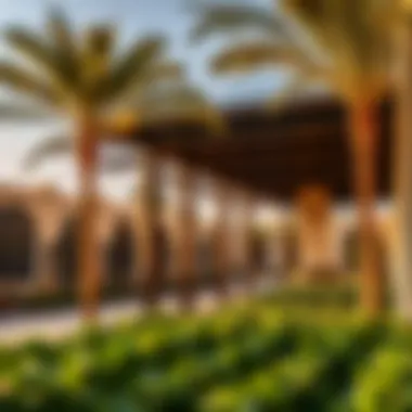 Scenic parks and lifestyle amenities in Al Quoz