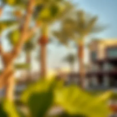 Cultural and recreational amenities in Al Qusaidat enhancing lifestyle