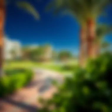 Vibrant community park in Al Qusaidat with lush greenery