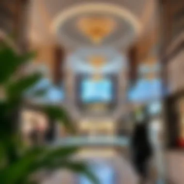 Exploring Al Raaha Mall: A Comprehensive Insight Summary