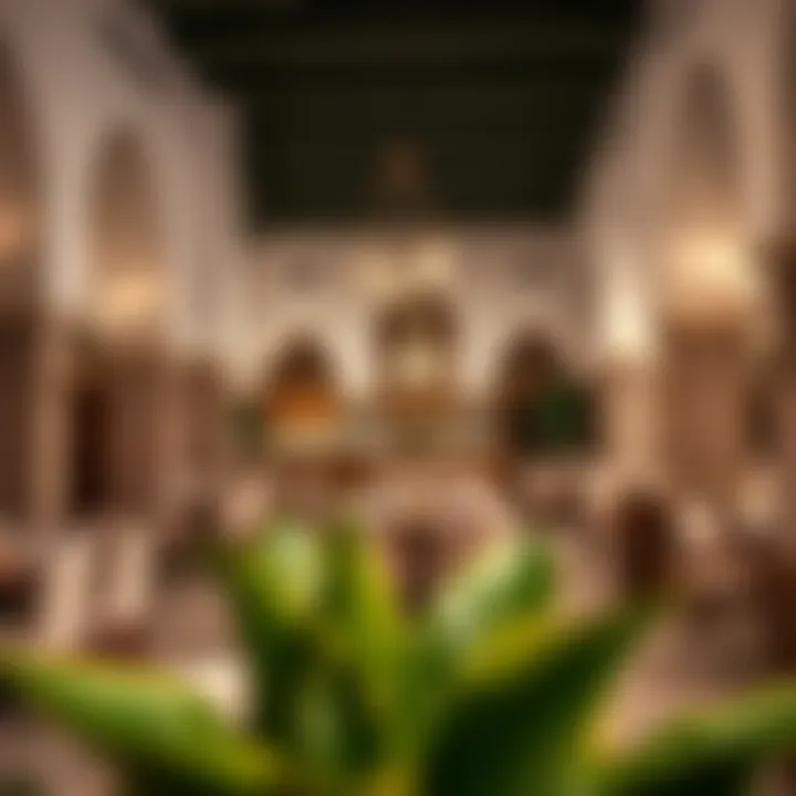 Inviting Ambiance of Al Rabi'a Al Khadra Inviting ambiance of Al Rabi'a Al Khadra