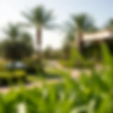 Green Spaces: Recreation in Al Thanya Lush greenery and recreational spaces in Al Thanya community