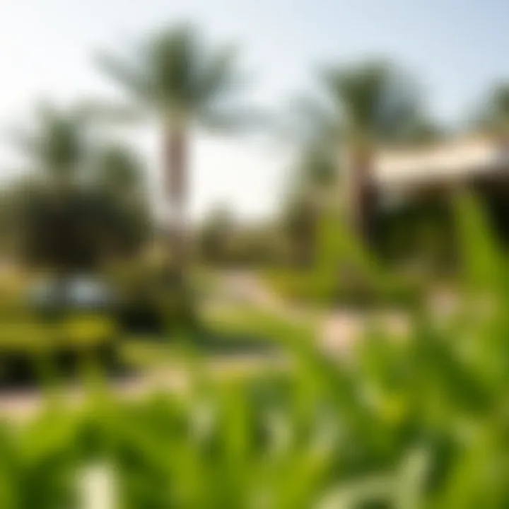 Green Spaces: Recreation in Al Thanya Lush greenery and recreational spaces in Al Thanya community