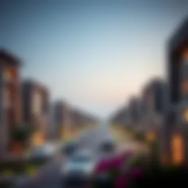 Panoramic View of Al Warasan A panoramic view of Al Warasan community showcasing modern architecture