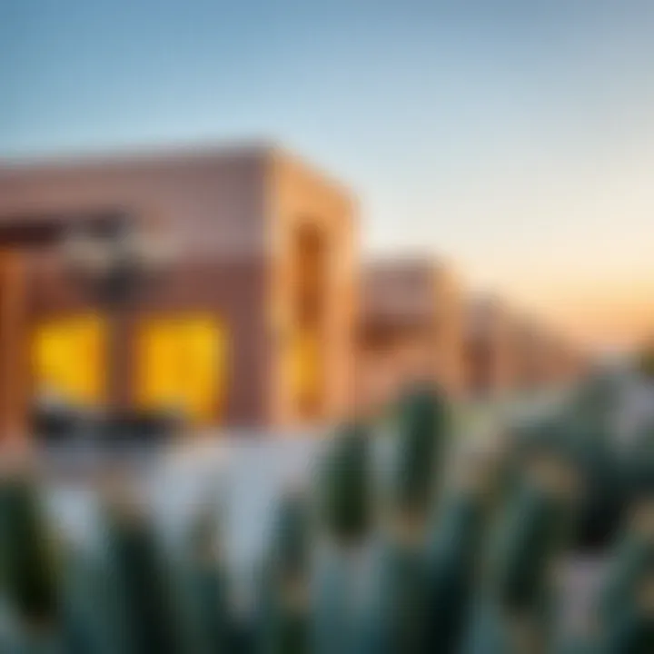 Architectural Features of Anya Community Architectural details of Anya community homes highlighting modern design