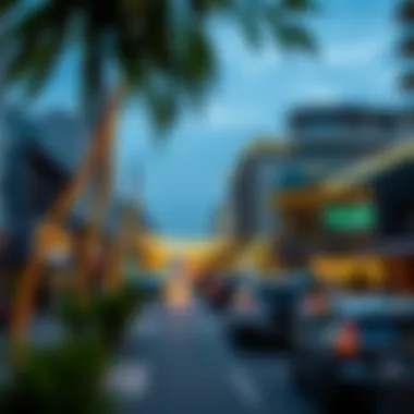 Investment opportunities highlighted in the bustling شارع البوليفارد