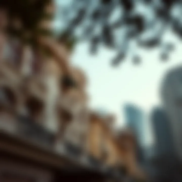 Intricate Architecture in Urban Landscapes Architectural details of a downtown building