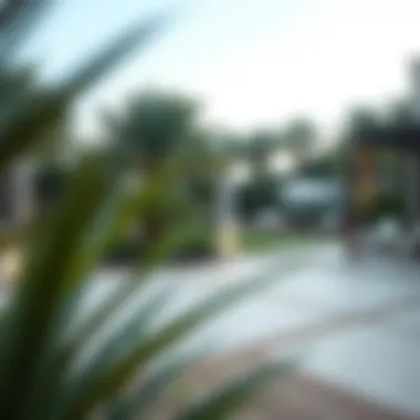 Lavish Outdoor Area with Landscaped Garden Lavish outdoor area with landscaped garden in Dubai villa