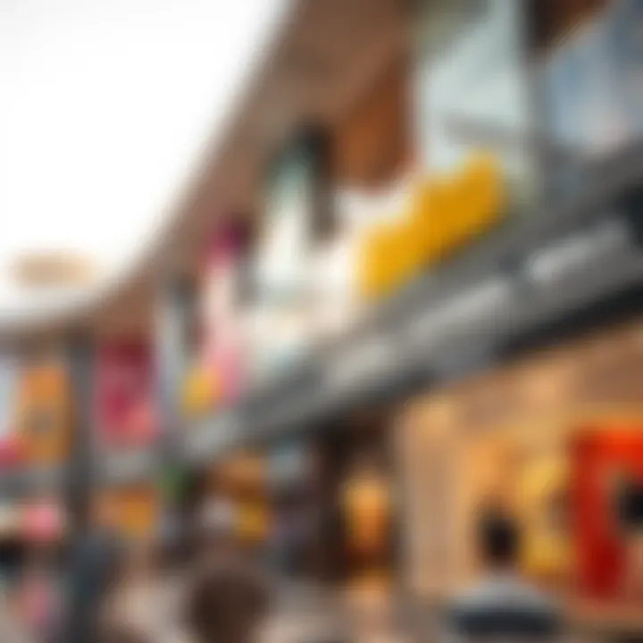 Diverse Retail Offerings at Madina Mall Vibrant retail landscape featuring diverse shops and boutiques