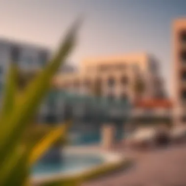 Recreational facilities and lifestyle amenities in Novo Dubai