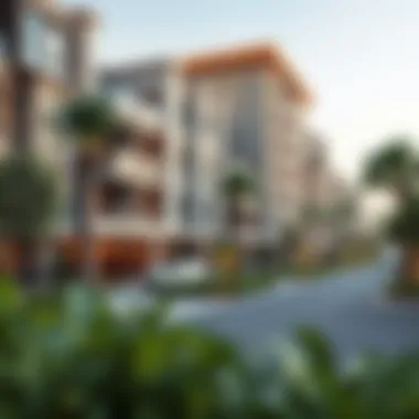 Luxurious residential area in Novo Dubai with green spaces