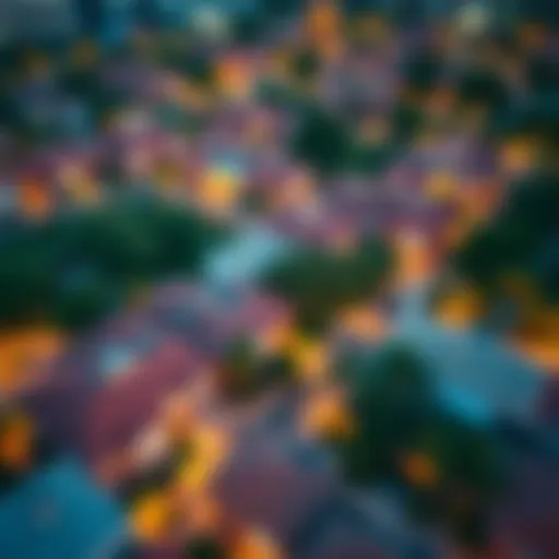 Vibrant community view of Discovery Garden