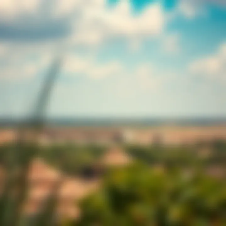 Natural Beauty of Safari World A breathtaking landscape within Safari World