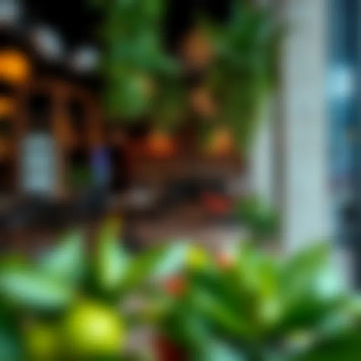 Vibrant lifestyle offerings in روضة البطين, including cafes and recreational spots.