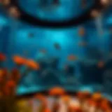 Exploring the Aquarium: A Deep Dive into Underwater Realms Introduction