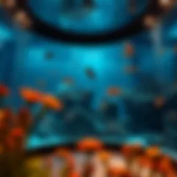 Exploring the Aquarium: A Deep Dive into Underwater Realms Introduction