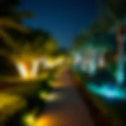 A stunning view of a 24-hour park in Dubai at night, showcasing illuminated paths and lush greenery.