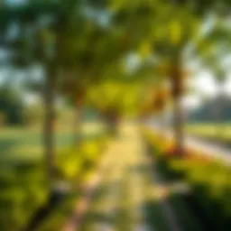 A stunning view of حديقة الفي showcasing its lush greenery and serene pathways