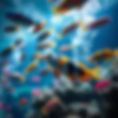 Vibrant marine life swimming in the aquarium