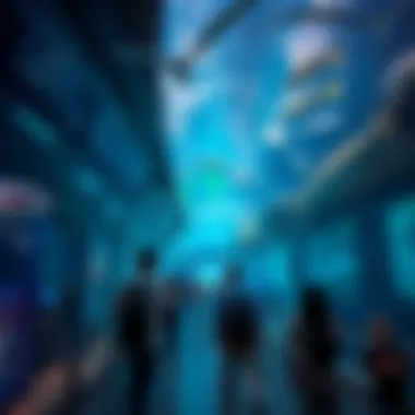 Visitors exploring the aquarium's exhibits