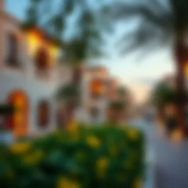 Charming Dubai Neighborhood Vibrant Dubai neighborhood with villa accommodations