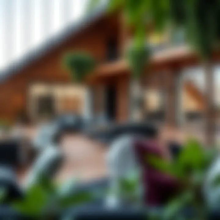 Community Living at Haus 51 Vibrant community spaces at Haus 51