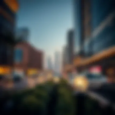 Investment Potential in Miraas Dubai Investment opportunities in Dubai real estate