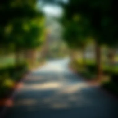 Scenic pathways of Mudon Park