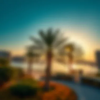 Golden Hour at the Park Stunning sunset over Palm Jumeirah Park enhancing its beauty