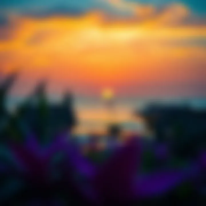 Vibrant sunset over Pullman Marjan Island