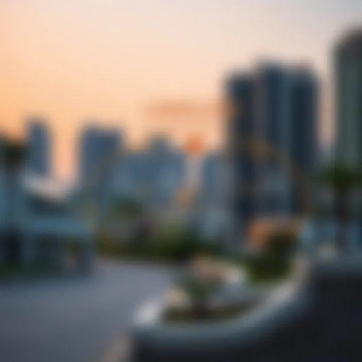 Diagram showing landlord obligations according to RERA